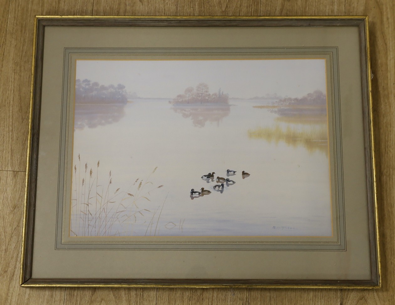 Philip Rickman (1891-1982), watercolour, Ducks upon a tranquil lake, signed, 36 x 52cm